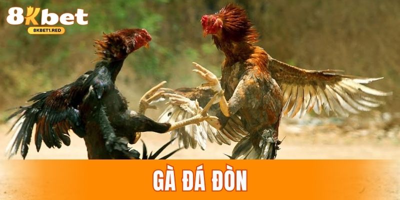 Đá gà đòn
